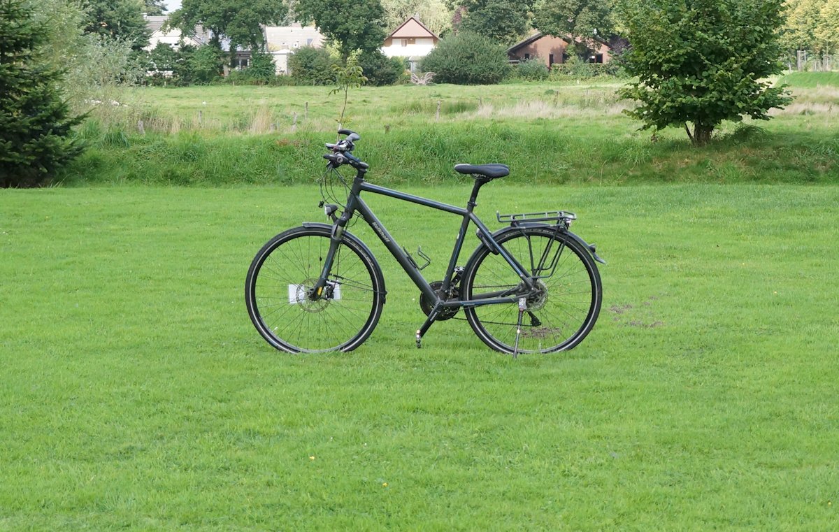 Fahrrad auf einer Wiese